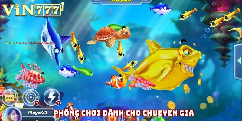 Phòng chuyên gia mức độ khó cao nhưng thưởng khủng