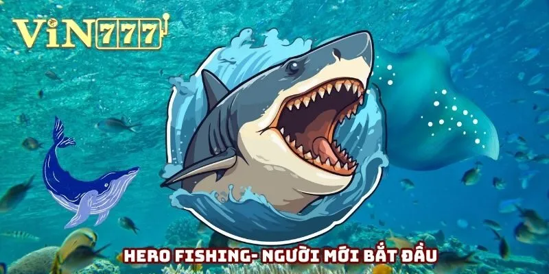 Hero Fishing dành cho người mới bắt đầu