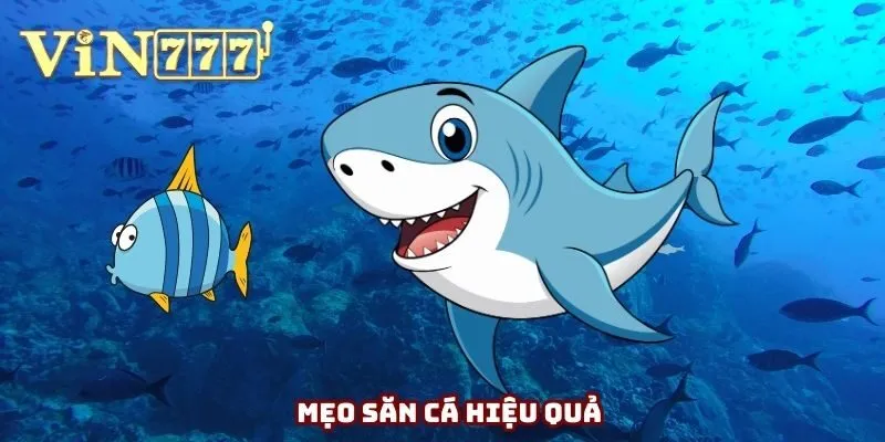 Mẹo săn cá hiệu quả