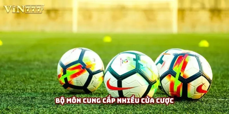 Bộ môn cung cấp nhiều cửa cược