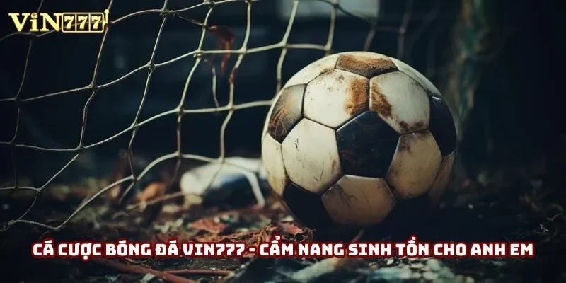 Cá Cược Bóng Đá Vin777 - Cẩm Nang Sinh Tồn Cho Anh Em