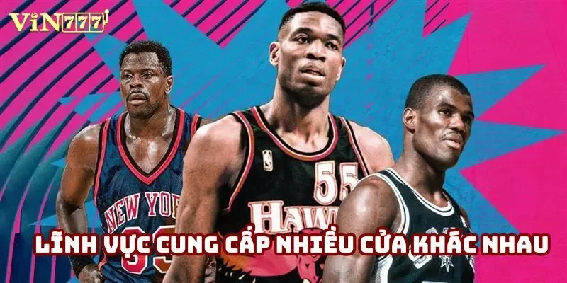 Lĩnh vực cung cấp nhiều cửa khác nhau