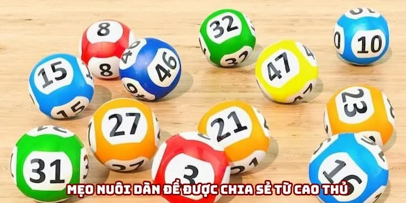 Mẹo nuôi dàn đề được chia sẻ từ cao thủ