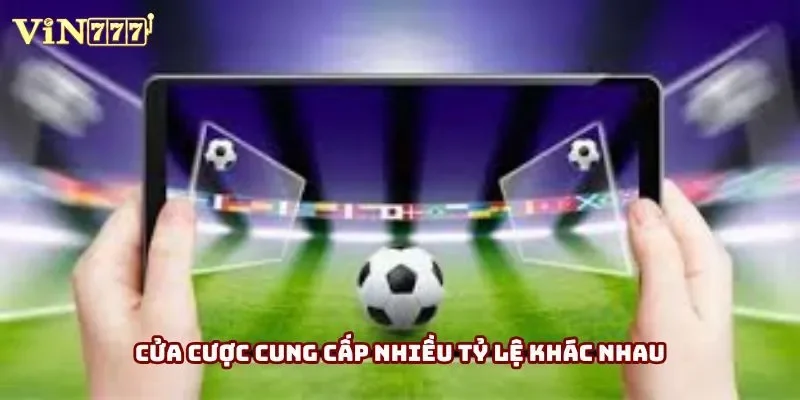 Cửa cược cung cấp nhiều tỷ lệ khác nhau