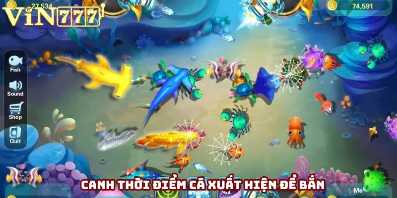 Mẹo chơi bắn cá chuẩn canh thời điểm xuất hiện
