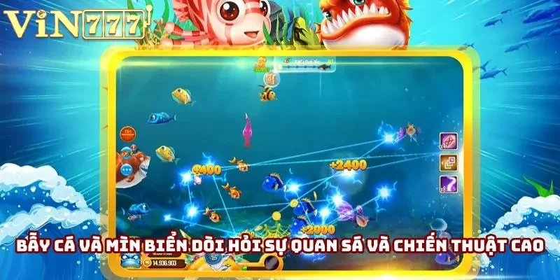 Bẫy cá và mìn biển dòi hỏi sự quan sá và chiến thuật cao